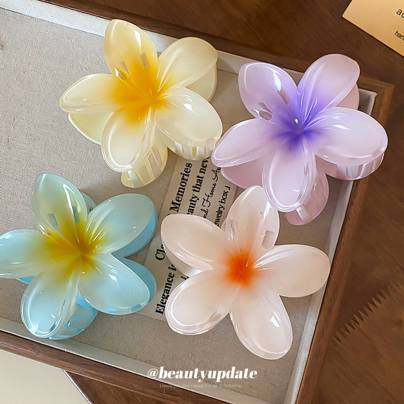 Kristal Çiçek Akrilik Saç Penç - Travel Accessories Hong Kong incelemesi ve fiyatı